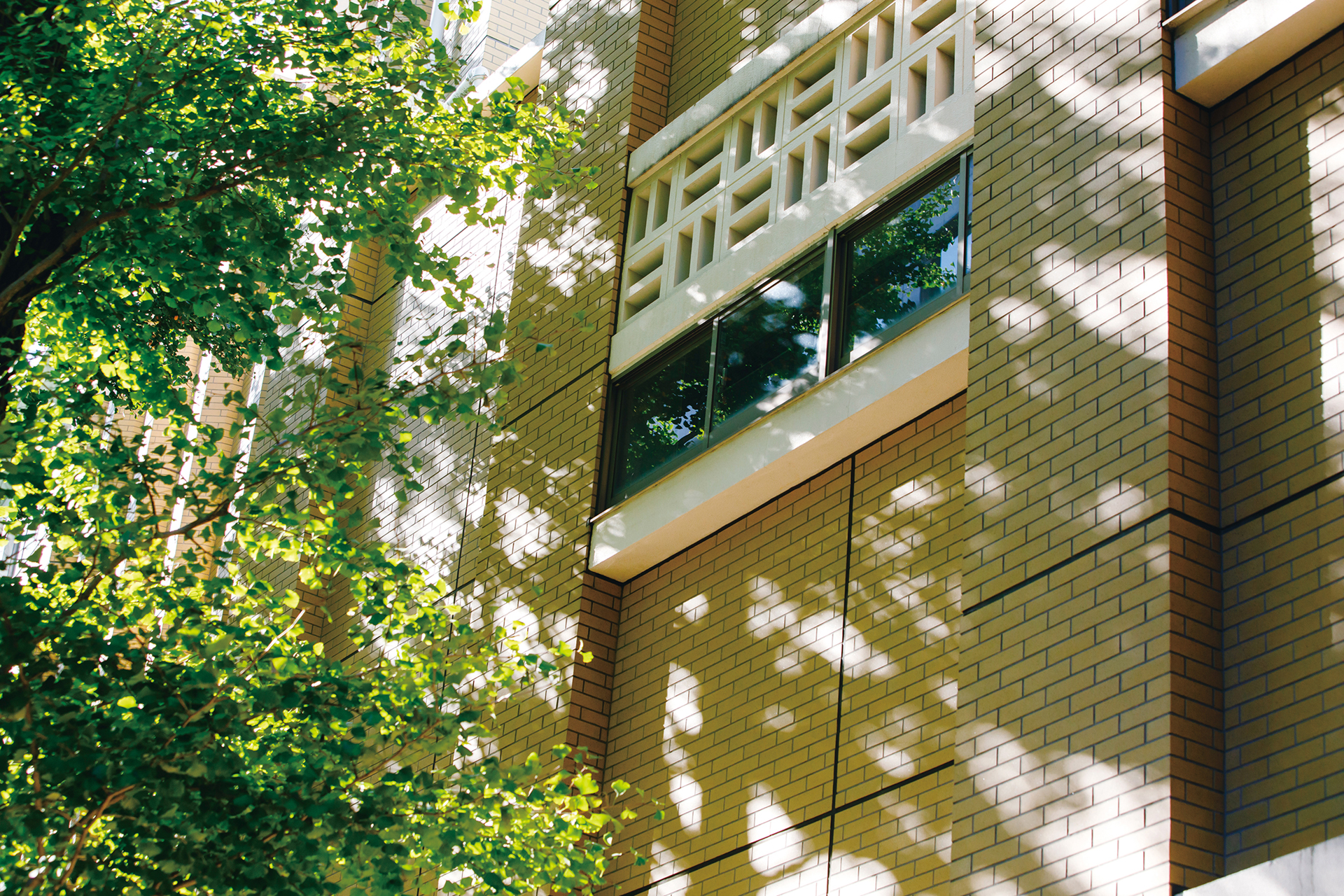 共立女子学園 校舎